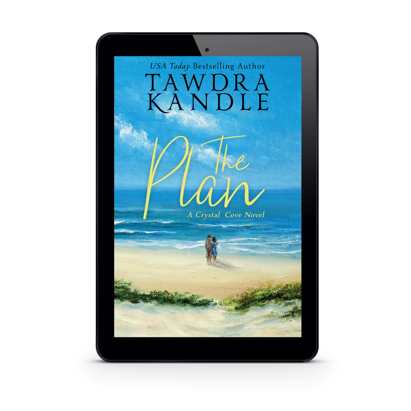 The Plan (ebook)