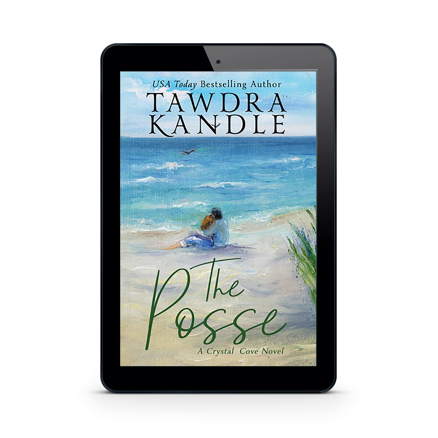 The Posse (ebook)